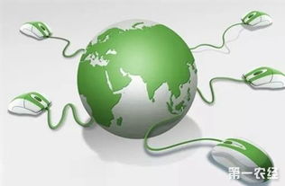 關(guān)注這十大農(nóng)業(yè)戰(zhàn)略，讓農(nóng)民朋友的錢包鼓起來(lái)